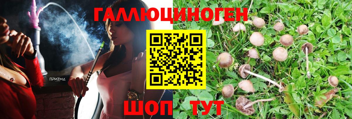 Псилоцибиновые грибы Magic Shrooms Зерноград