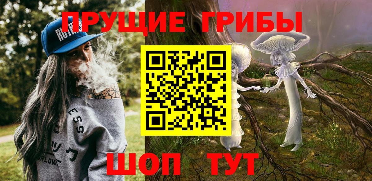 Галлюциногенные грибы прущие грибы  Вход с VPN  Псилоцибиновые грибы Psilocybine cubensis  Зерноград 